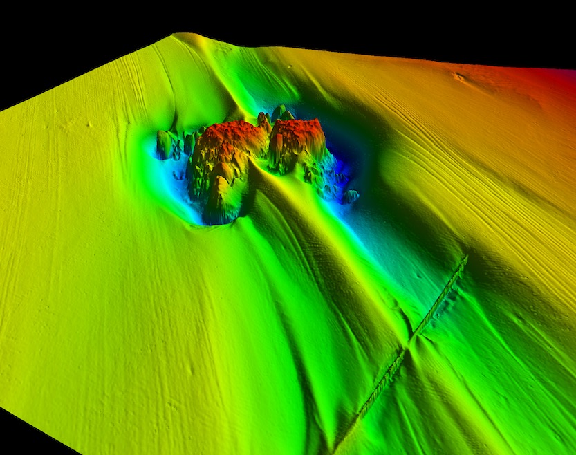 WINGHEAD Dual Head Survey